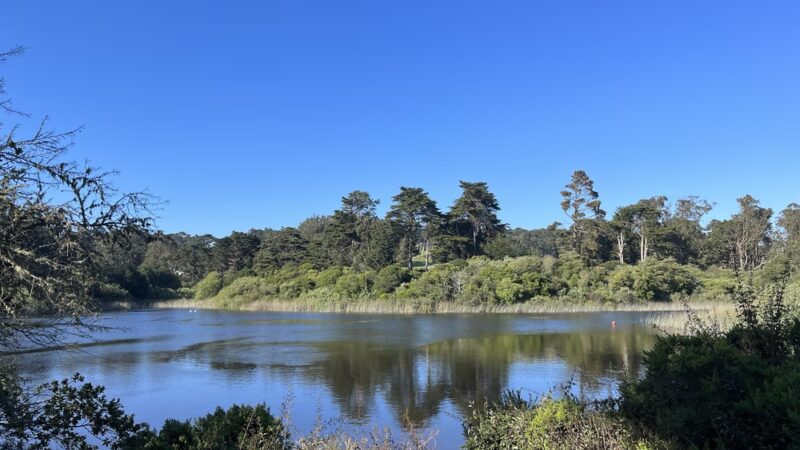 Mountain Lake Park - San Francisco, CA
