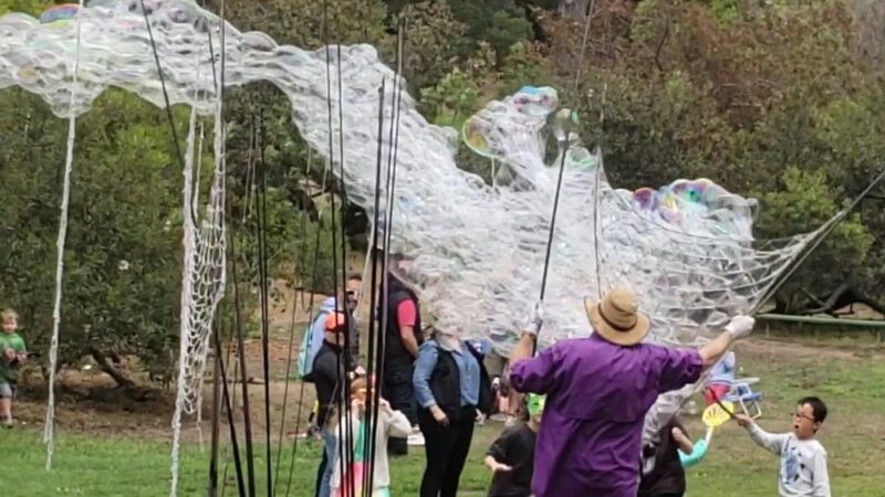 Mountain Lake Park - San Francisco, CA