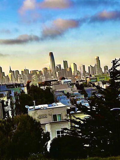 Potrero Hill Dog Play Area - San Francisco, CA