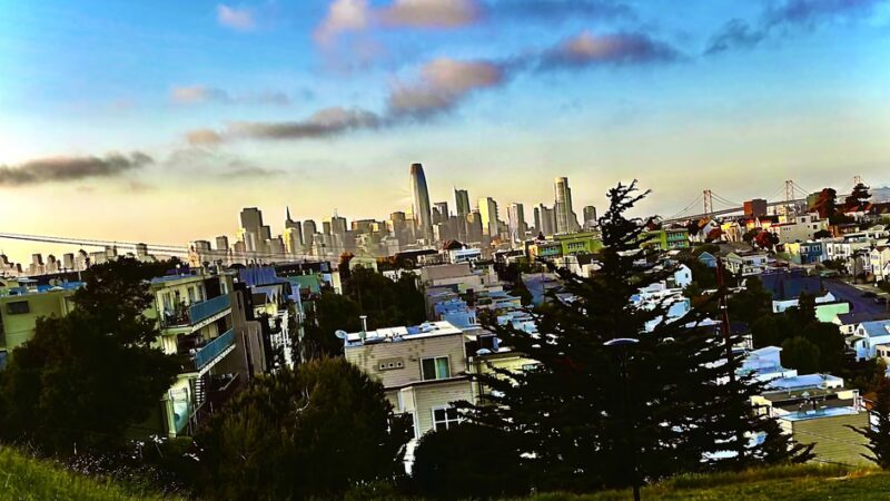 Potrero Hill Dog Play Area - San Francisco, CA