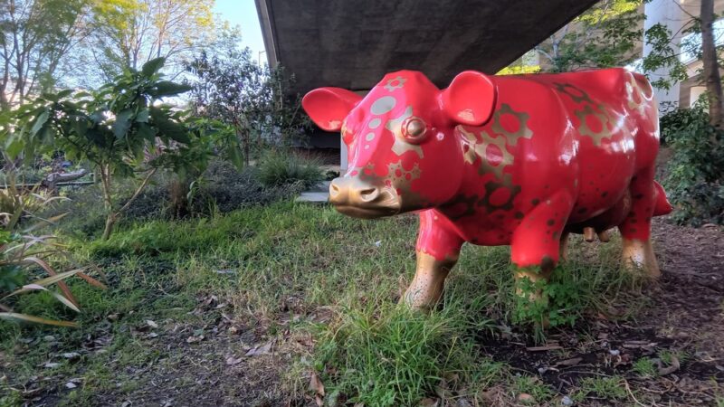 Progress Park - San Francisco, CA