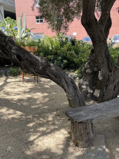 Progress Park - San Francisco, CA