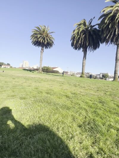 Pyron Park - San Francisco, CA