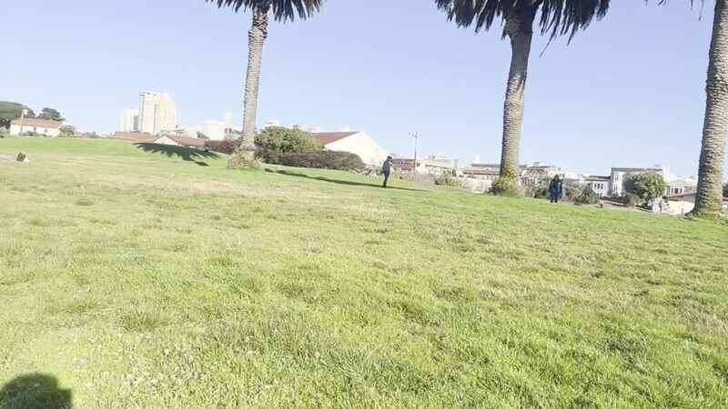 Pyron Park - San Francisco, CA