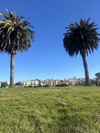 Pyron Park - San Francisco, CA