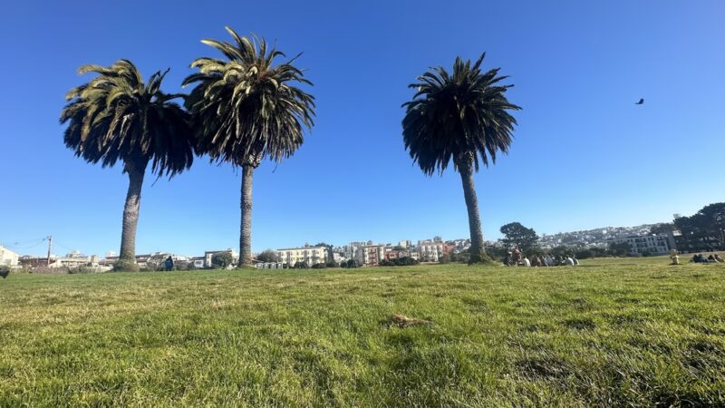 Pyron Park - San Francisco, CA