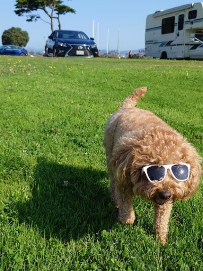 Pyron Park - San Francisco, CA