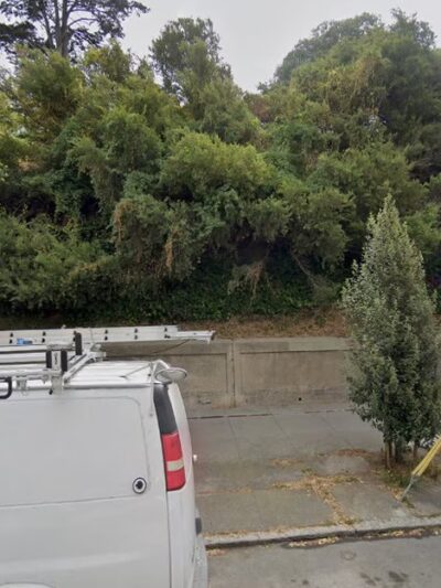 Sterling Dog Friendly Area - San Francisco, CA