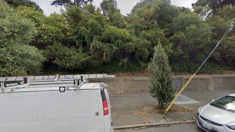 Sterling Dog Friendly Area - San Francisco, CA