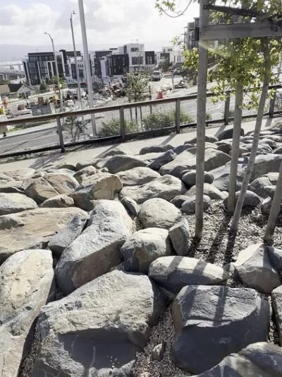 The Rocks Dog Park Yerba Buena Island - San Francisco, CA