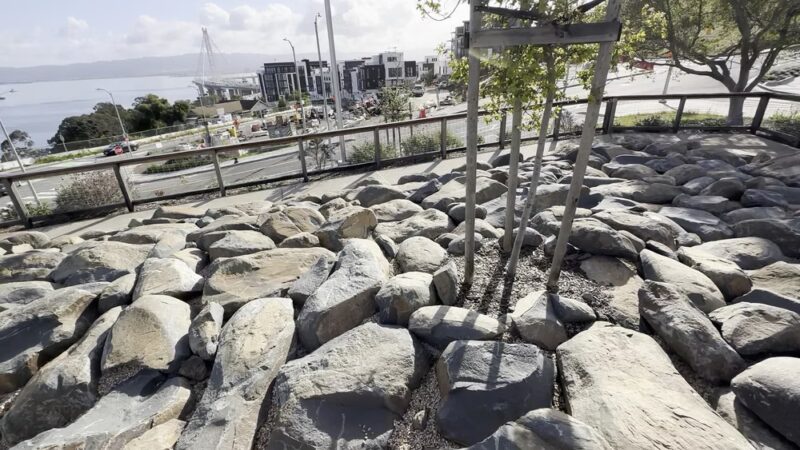 The Rocks Dog Park Yerba Buena Island - San Francisco, CA