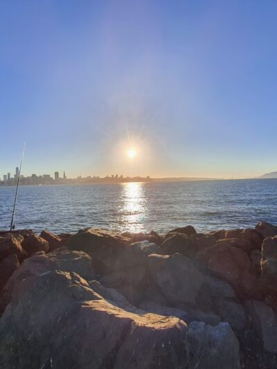 Treasure Island Dog Park - San Francisco, CA