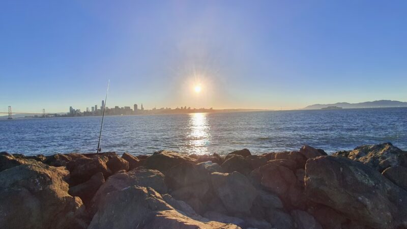 Treasure Island Dog Park - San Francisco, CA