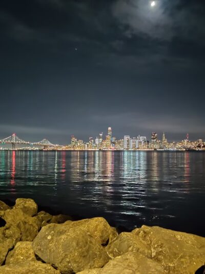 Treasure Island Dog Park - San Francisco, CA