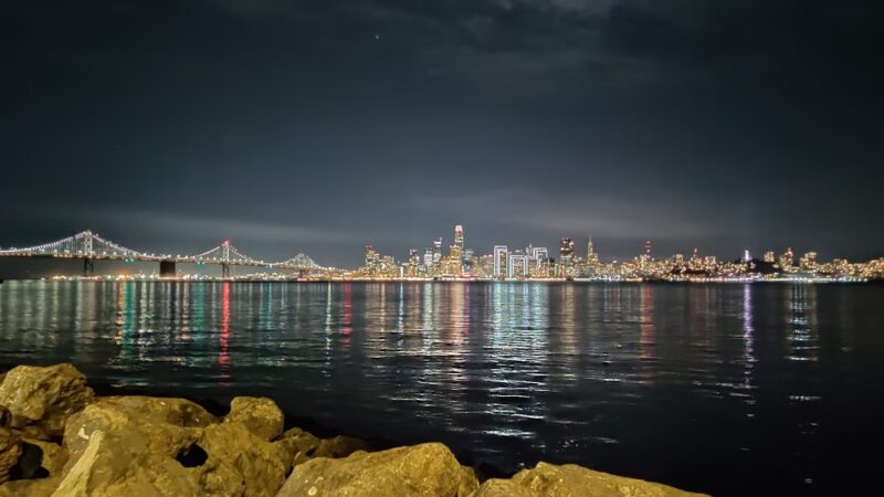 Treasure Island Dog Park - San Francisco, CA