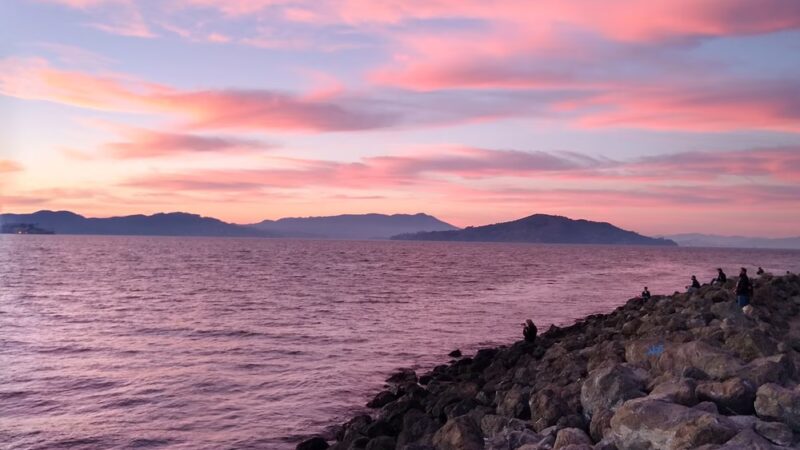 Treasure Island Dog Park - San Francisco, CA