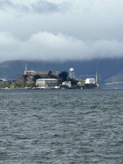 Treasure Island Dog Park - San Francisco, CA