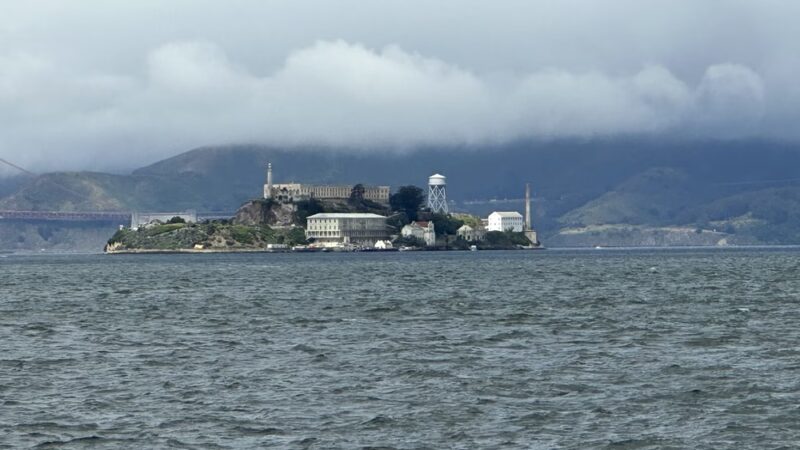 Treasure Island Dog Park - San Francisco, CA