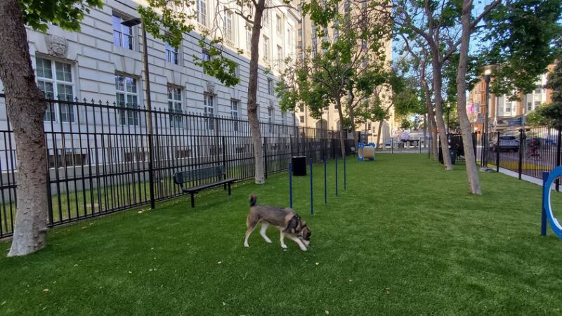 U.N. Plaza Dog Park - San Francisco, CA