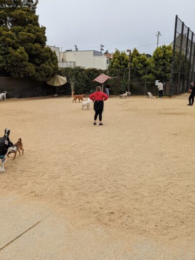 Upper Noe Dog Play Area - San Francisco, CA