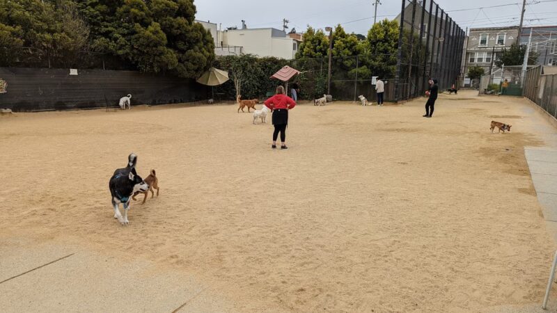 Upper Noe Dog Play Area - San Francisco, CA