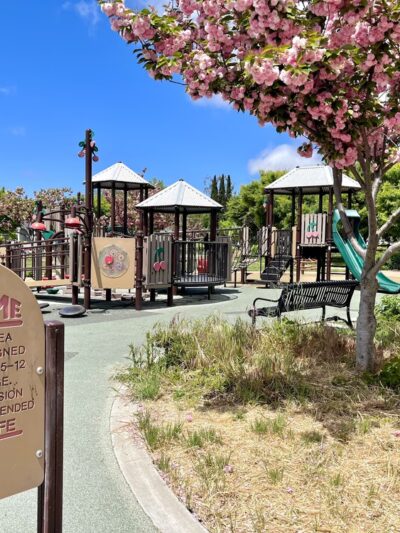 Commodore Park - San Jose, CA