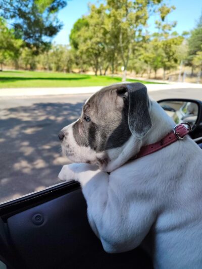 Danna Rock Park - San Jose, CA