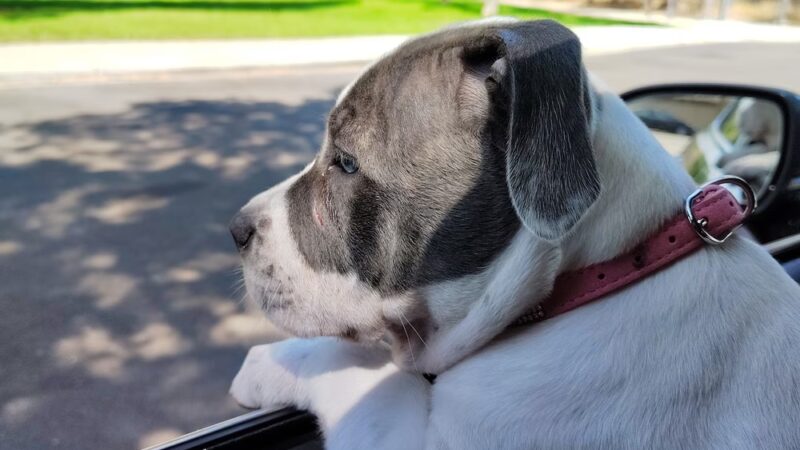 Danna Rock Park - San Jose, CA