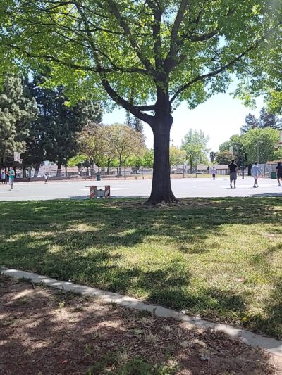 Flickinger Park - San Jose, CA