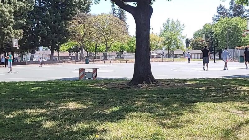 Flickinger Park - San Jose, CA