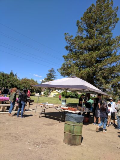 Flickinger Park - San Jose, CA