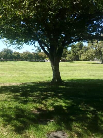 Great Oaks Park - San Jose, CA