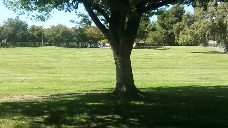 Great Oaks Park - San Jose, CA