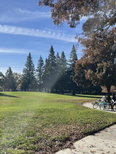 Wallenberg Park - San Jose, CA