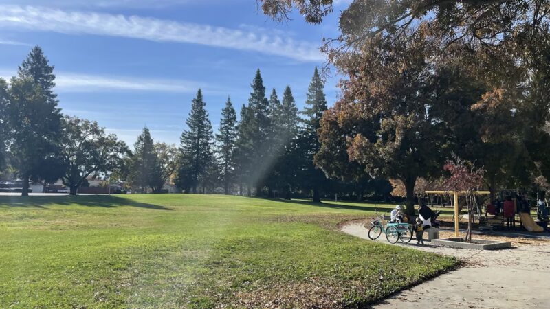 Wallenberg Park - San Jose, CA