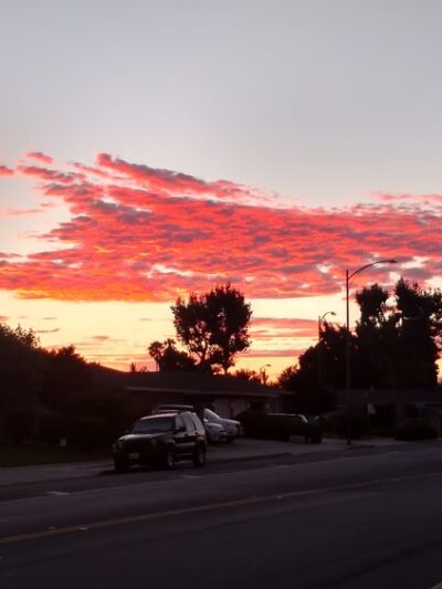 Wallenberg Park - San Jose, CA