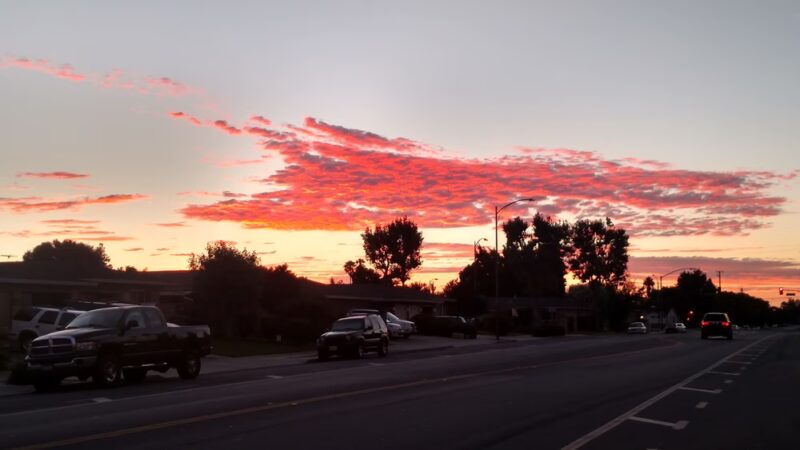 Wallenberg Park - San Jose, CA
