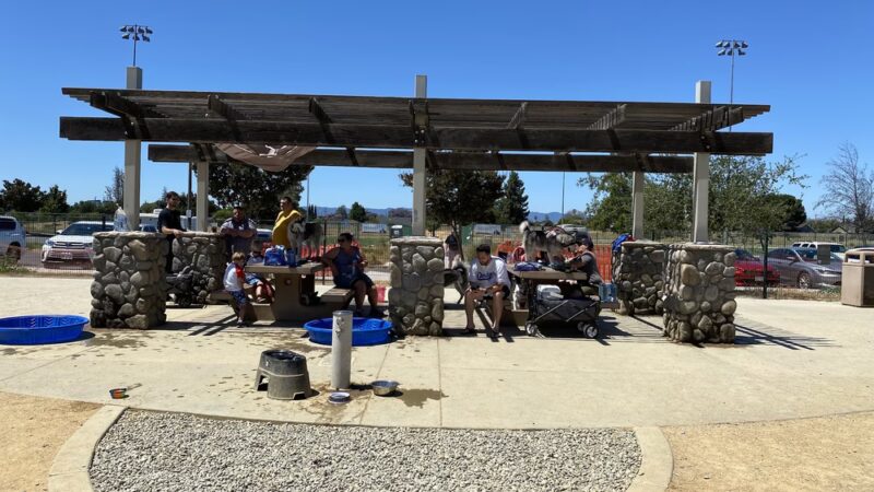 Watson Park - San Jose, CA