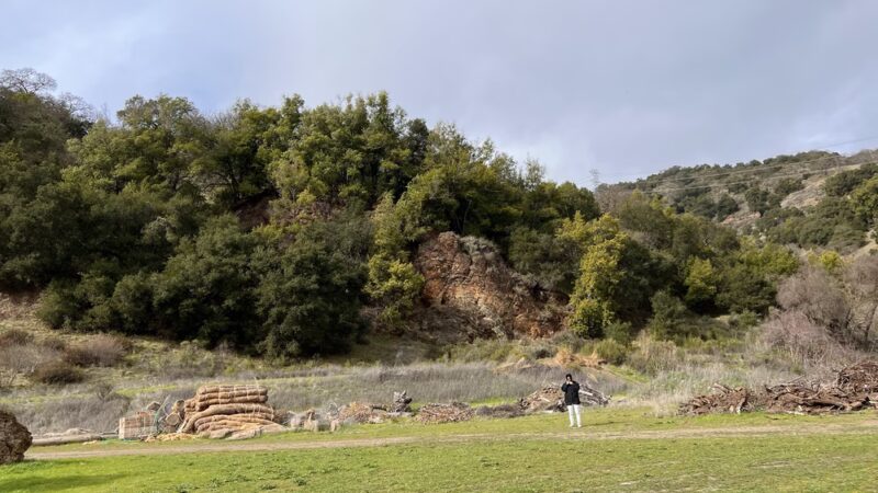 Almaden Quicksilver Hacienda Entrance - San Jose, CA