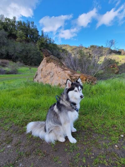 Almaden Quicksilver Hacienda Entrance - San Jose, CA