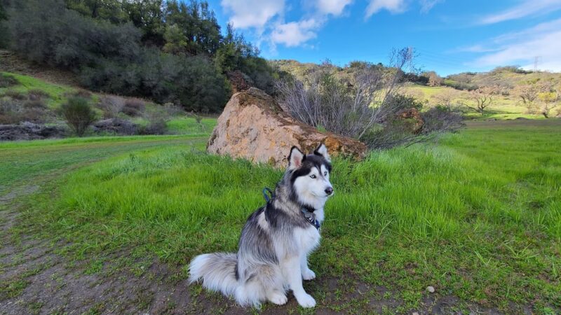 Almaden Quicksilver Hacienda Entrance - San Jose, CA