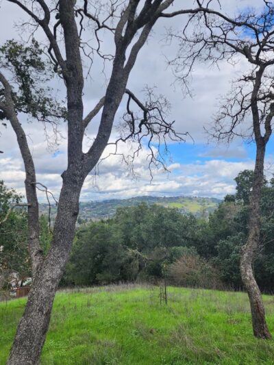 Almaden Quicksilver Park - Mockingbird Hill Entrance - San Jose, CA