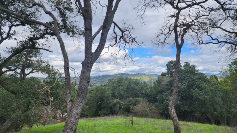 Almaden Quicksilver Park - Mockingbird Hill Entrance - San Jose, CA