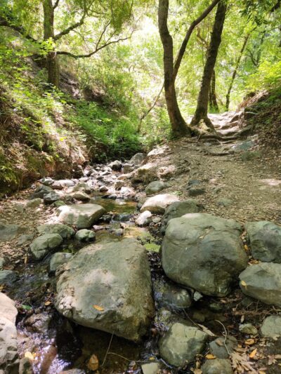 Almaden Quicksilver Park - Mockingbird Hill Entrance - San Jose, CA