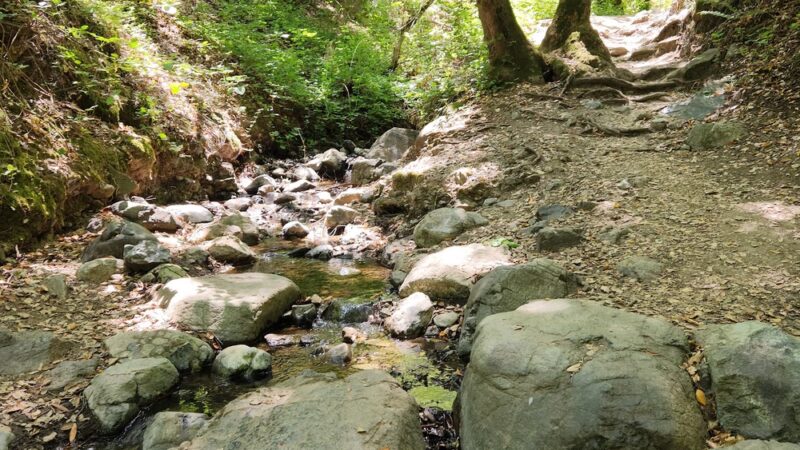 Almaden Quicksilver Park - Mockingbird Hill Entrance - San Jose, CA