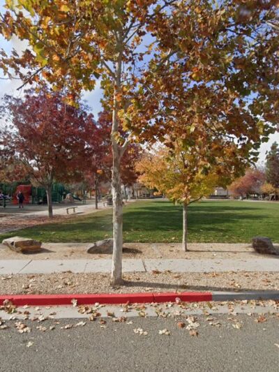 Batten Way Park - San Jose, CA