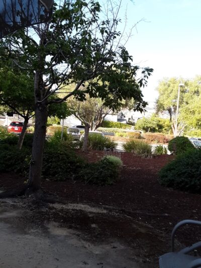 Batten Way Park - San Jose, CA