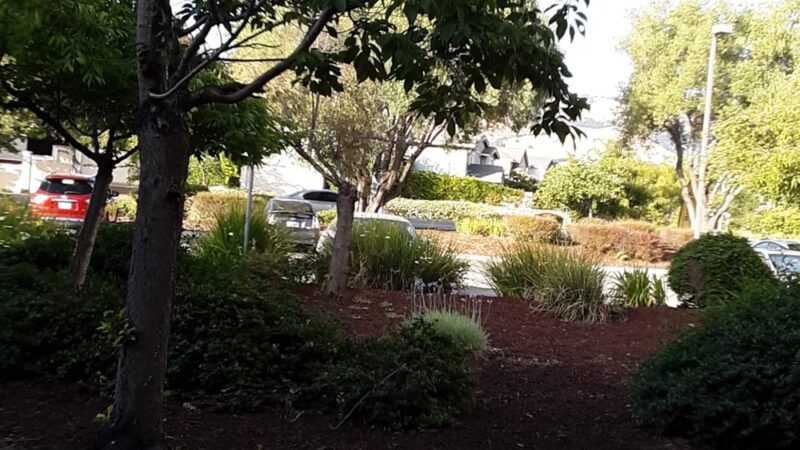 Batten Way Park - San Jose, CA