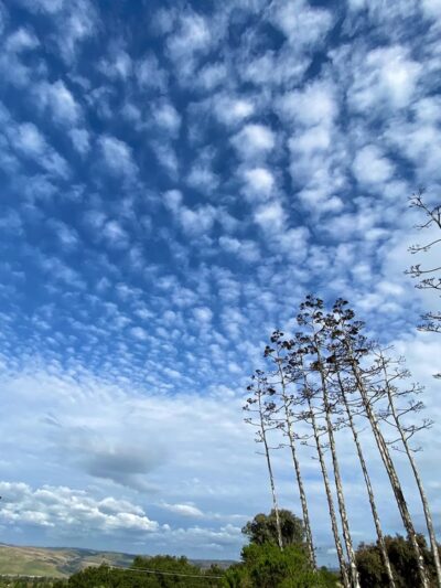 Bernal Hill - San Jose, CA
