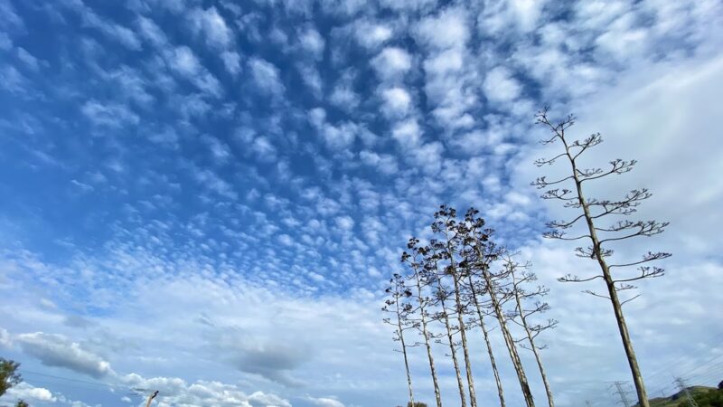 Bernal Hill - San Jose, CA